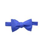 Tommy Hilfiger Core Solid Self-tie Bow Tie (royal Blue) Ties