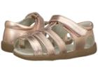 See Kai Run Kids Fe (toddler) (rose Gold) Girls Shoes