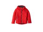 The North Face Kids Thermoballtm Hoodie (little Kids/big Kids) (tnf Red) Boy's Coat