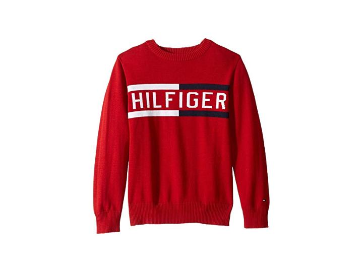 Tommy Hilfiger Kids Hilfiger Logo Sweater (toddler/little Kids) (scarlet Sage) Boy's Sweater