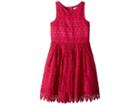 Nanette Lepore Kids Crochet Lace/eyelet Dress (little Kids/big Kids) (dark Pink) Girl's Dress