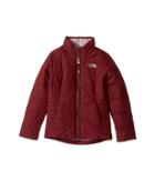 The North Face Kids All Season Insulated Jacket (little Kids/big Kids) (zinfandel Red/quail Grey (prior Season)) Girl's Coat
