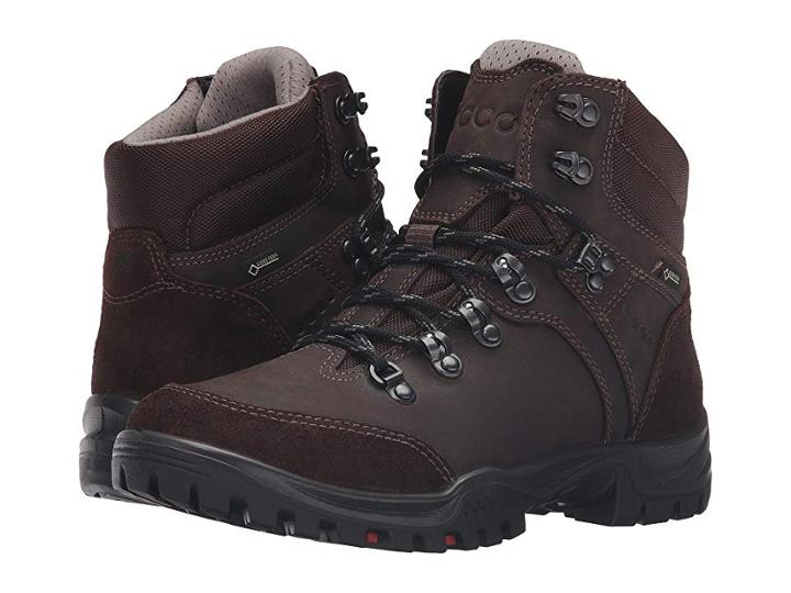 Ecco Sport Xpedition Iii Gtx (coffee) Women's Hiking Boots