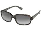 Diane Von Furstenberg Taylor (black Tortoise) Fashion Sunglasses