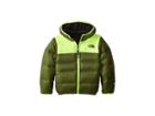 The North Face Kids Reversible Moondoggy Jacket (little Kids/big Kids) (scallion Green (prior Season)) Boy's Coat