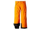 Spyder Kids Action Pants (big Kids) (exuberance/black) Boy's Outerwear
