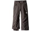The North Face Kids Freedom Insulated Pants (little Kids/big Kids) (graphite Grey) Boy's Outerwear