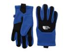The North Face Kids Denali Etiptm Gloves (big Kids) (turkish Sea/tnf Black) Extreme Cold Weather Gloves