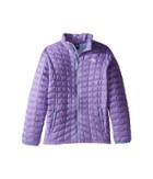 The North Face Kids Thermoball Full Zip Jacket (little Kids/big Kids) (paisley Purple (prior Season)) Girl's Coat