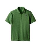 The North Face Kids Polo Top (little Kids/big Kids) (classic Green/graphite Grey) Boy's T Shirt