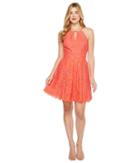 Adelyn Rae Renee Lace Fit And Flare Dress (hot Pink/orange) Women's Dress