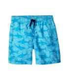 Hatley Kids Shark Alley Swim Trunks (toddler/little Kids/big Kids) (blue) Boy's Swimwear