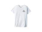 Spyder Kids Geo Peak Short Sleeved T-shirt (big Kids) (organic Salt/organic Salt) Boy's T Shirt