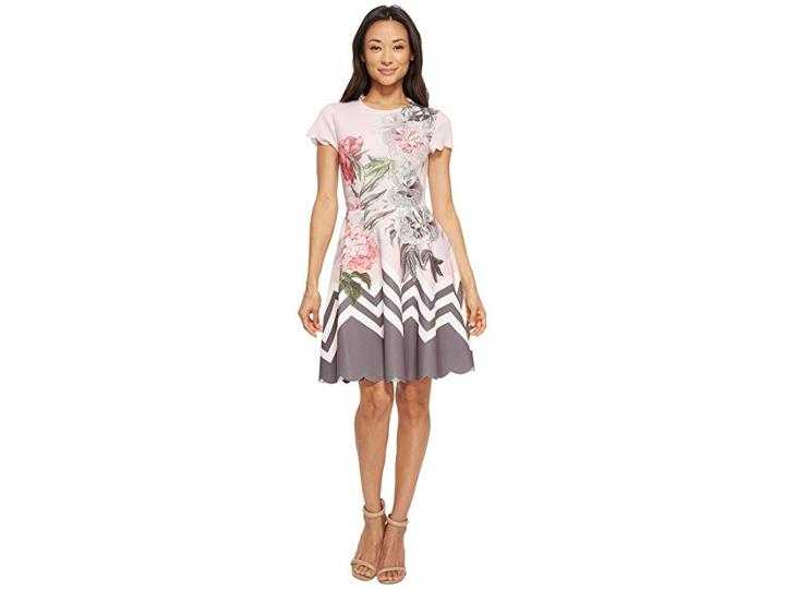 Ted Baker Haiilie Palace Gardens Ruffle Skater Dress (dusky Pink) Women's Dress