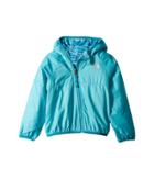 The North Face Kids Reversible Breezeway Wind Jacket (infant) (blue Curacao) Kid's Coat