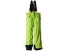 Spyder Kids Guard Pants (big Kids) (fresh/black) Boy's Outerwear