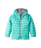 The North Face Kids Reversible Mossbud Swirl Jacket (toddler) (bermuda Green/metallic Silver (prior Season)) Girl's Coat
