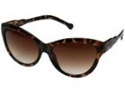 Kenneth Cole Reaction Kc1212 (dark Havana/gradient Brown) Fashion Sunglasses