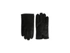 Polo Ralph Lauren Everyday Nappa Gloves (black) Extreme Cold Weather Gloves