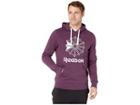Reebok Classics Big Logo Hoodie (urban Violet) Men's Sweatshirt