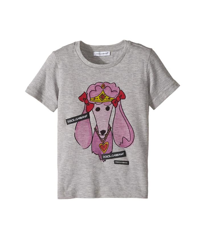 Dolce & Gabbana Kids T-shirt (toddler/little Kids) (grey Print) Girl's T Shirt