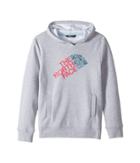The North Face Kids Logowear Pullover Hoodie (little Kids/big Kids) (tnf Light Grey Heather/multicolor (prior Season)) Girl's Sweatshirt