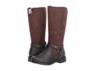 Rachel Kids Windham (little Kid/big Kid) (brown) Girl's Shoes