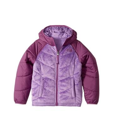 The North Face Kids Reversible Perseus Jacket (little Kids/big Kids) (bellflower Purple (prior Season)) Girl's Coat