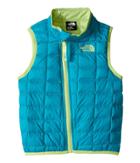 The North Face Kids Thermoball Vest (infant) (bluebird (prior Season)) Kid's Vest