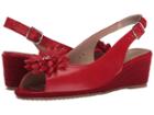Sesto Meucci Bobby (red Nappa/red Cartizze Bow) Women's Sandals