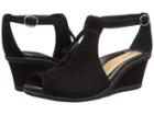 Earth Caper (black Suede) Women's Wedge Shoes
