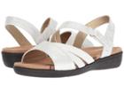 Soft Style Pavi (white Mist) Women's Sandals