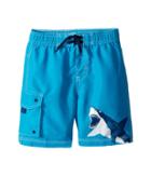 Hatley Kids Shark Alley Boardshorts (toddler/little Kids/big Kids) (blue) Boy's Swimwear