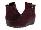 The Flexx Pic A Winner (gloomy Suede) Women's Shoes