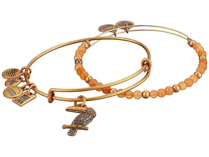 Alex And Ani Toucan Bracelet Set (gold) Bracelet