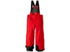 Spyder Kids Guard Pants (big Kids) (red/black) Boy's Outerwear