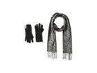 Calvin Klein Two-piece Woven Border Scarf, Knit Touch Gloves (black) Scarves