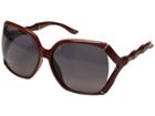 Gucci Gg0505s (grey/brown/shadow) Fashion Sunglasses