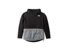 The North Face Kids Riit Fleece Pullover (little Kids/big Kids) (tnf Black) Girl's Fleece