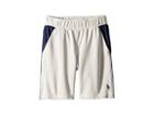 Polo Ralph Lauren Kids Color Blocked Performance Shorts (little Kids) (grey Ash Heather) Boy's Shorts