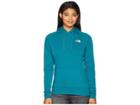The North Face Red Box Pullover Hoodie (everglade/misty Rose) Women's Sweatshirt