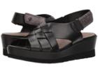 Earth Sunflower (black Soft Leather) Women's  Shoes