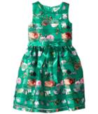 Us Angels Sleeveless Organza Striped Floral Dress With Full Skirt (big Kids) (jade) Girl's Dress