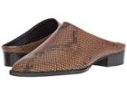 Dolce Vita Aven (brown Snake Embossed Leather) Women's Shoes