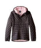 The North Face Kids Lexi Thermball Hoodie (little Kids/big Kids) (graphite Grey (prior Season)) Girl's Coat