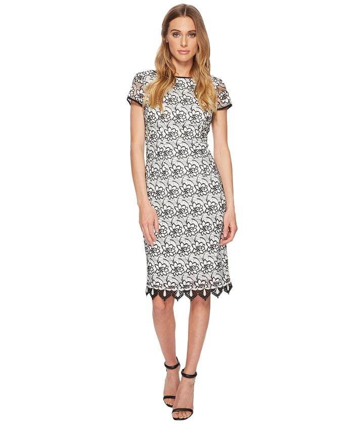 Adrianna Papell Sleeveless Lace Sheath Dress (ivory/black) Women's Dress