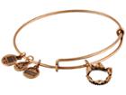 Alex And Ani Queen's Crown Charm Bangle (rafaelian Gold Finish) Bracelet