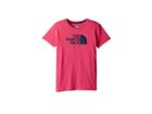 The North Face Kids Short Sleeve Graphic Tee (little Kids/big Kids) (petticoat Pink/blue Wing Teal (prior Season)) Girl's Short Sleeve Pullover