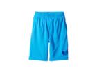 Nike Kids Dry Graphic Training Shorts (big Kids) (blue Hero/game Royal) Boy's Shorts