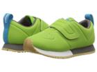 Native Kids Shoes Cornell Hl Ct (toddler/little Kid) (spring Green Ct/shell White/dublin Grey/gum Rubber) Kids Shoes